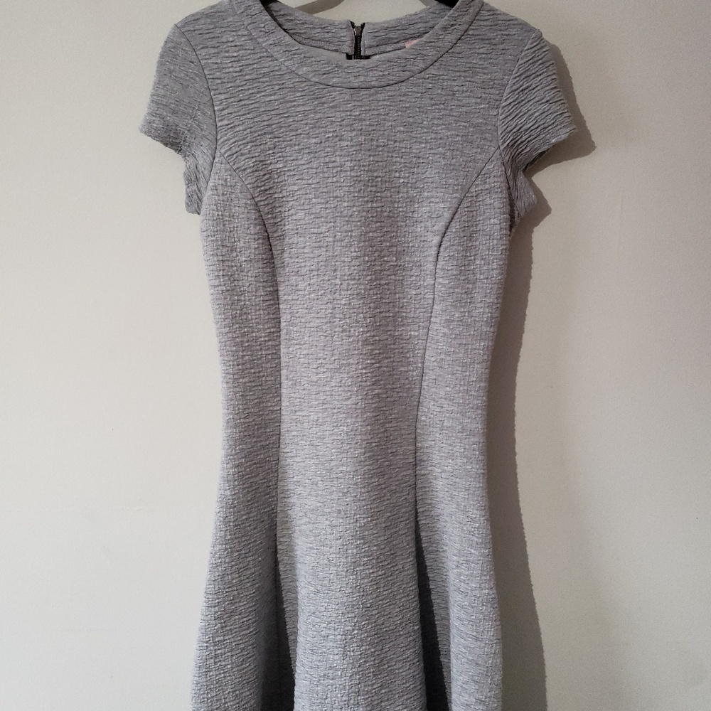 NWT Nell Skater Dress